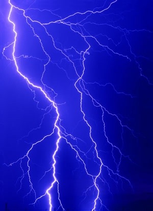 It's hoped that KMO inhibitors may be able to protect cells against damage from too much electrical or chemical stimulation – known as excitotoxic death