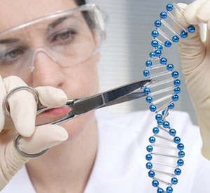 Precise editing of pig DNA was done using gene editing techniques