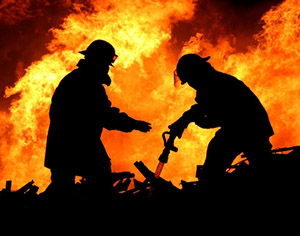 The heat shock response is a mechanism that helps cells to defend themselves damage from stresses like toxins and heat