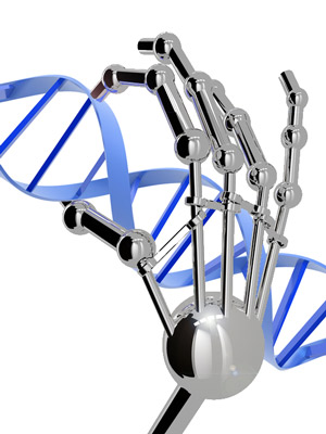 Zinc fingers can be designed to stick to any DNA sequence we want. They don't really look like a robotic hand, though.
