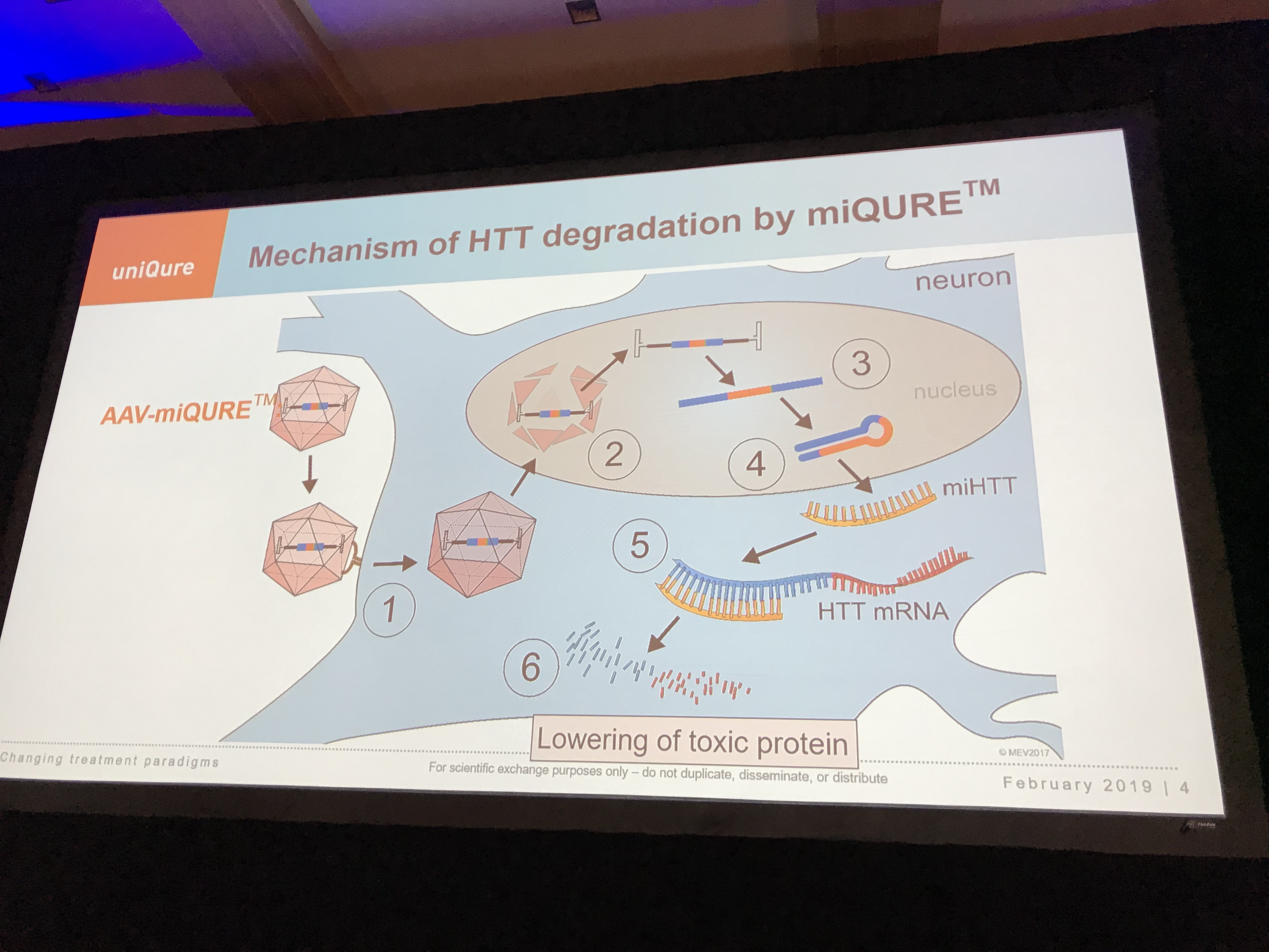 We heard about several “gene therapy” approaches to lowering huntingtin - this one is uniQure’s which just got the thumbs-up from the FDA to go into human trials