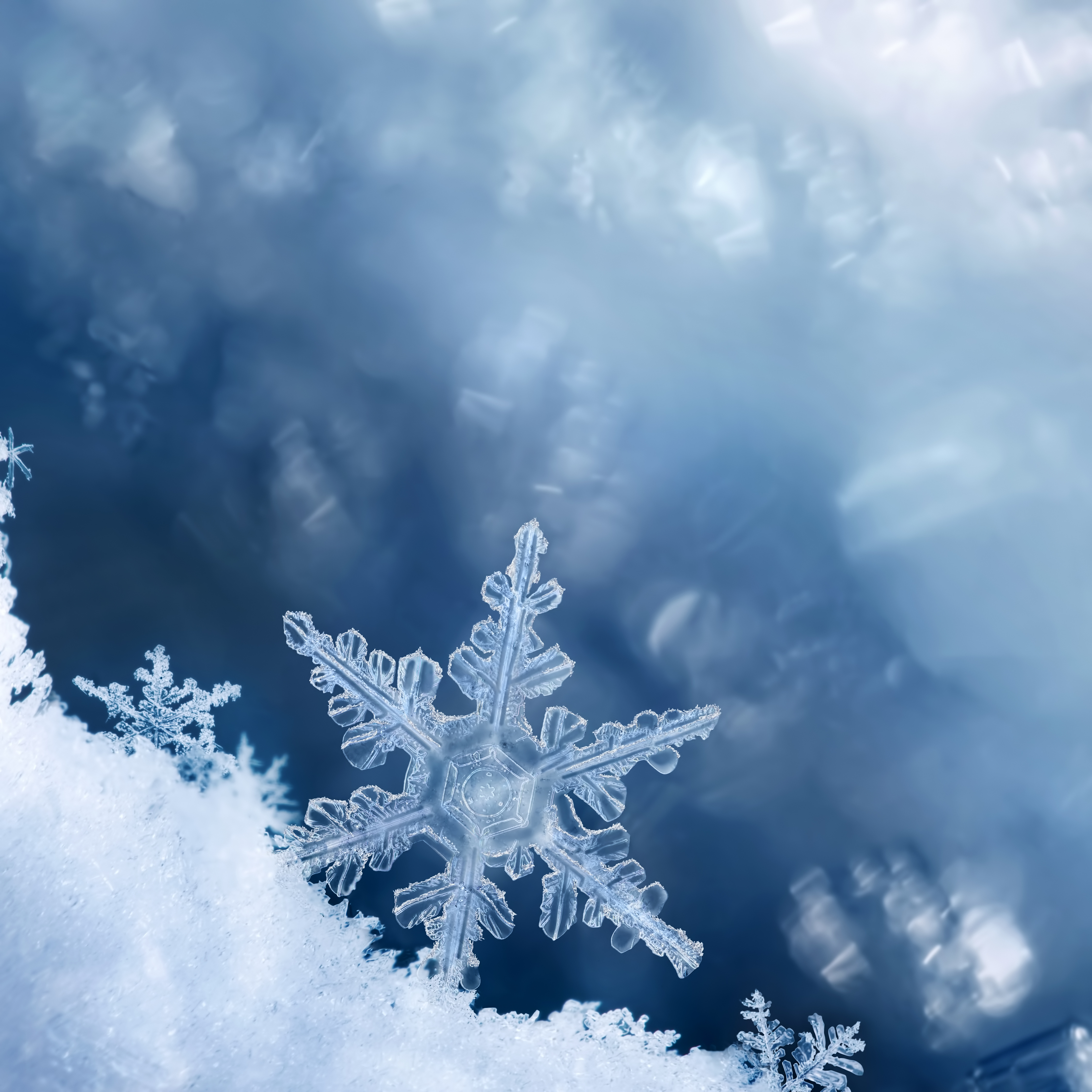 Science builds knowledge like snowflakes falling on a mountain - each discovery small on its own, but together they shape a towering summit of understanding. Progress for Huntington’s disease research may seem slow, but over time, we’ve come a tremendously long way and it has transformed the landscape.