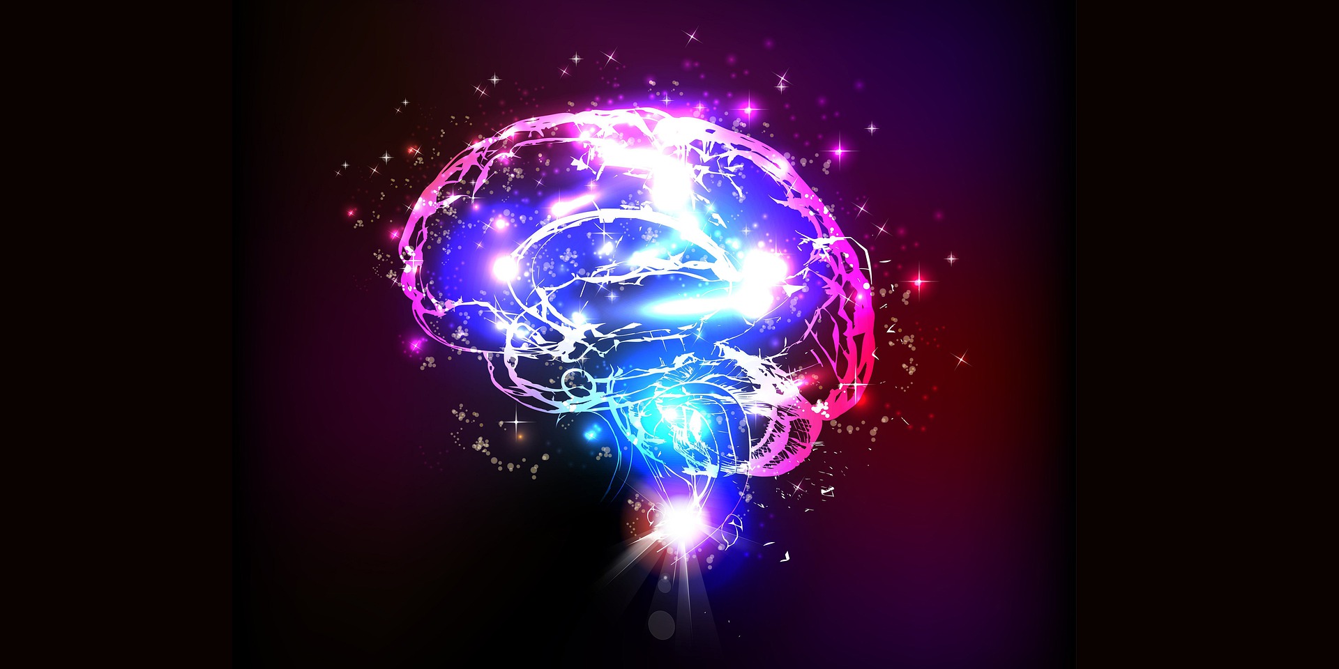 Post-mortem brain samples are extremely precious materials which help research to illuminate exactly what is going on in people with HD