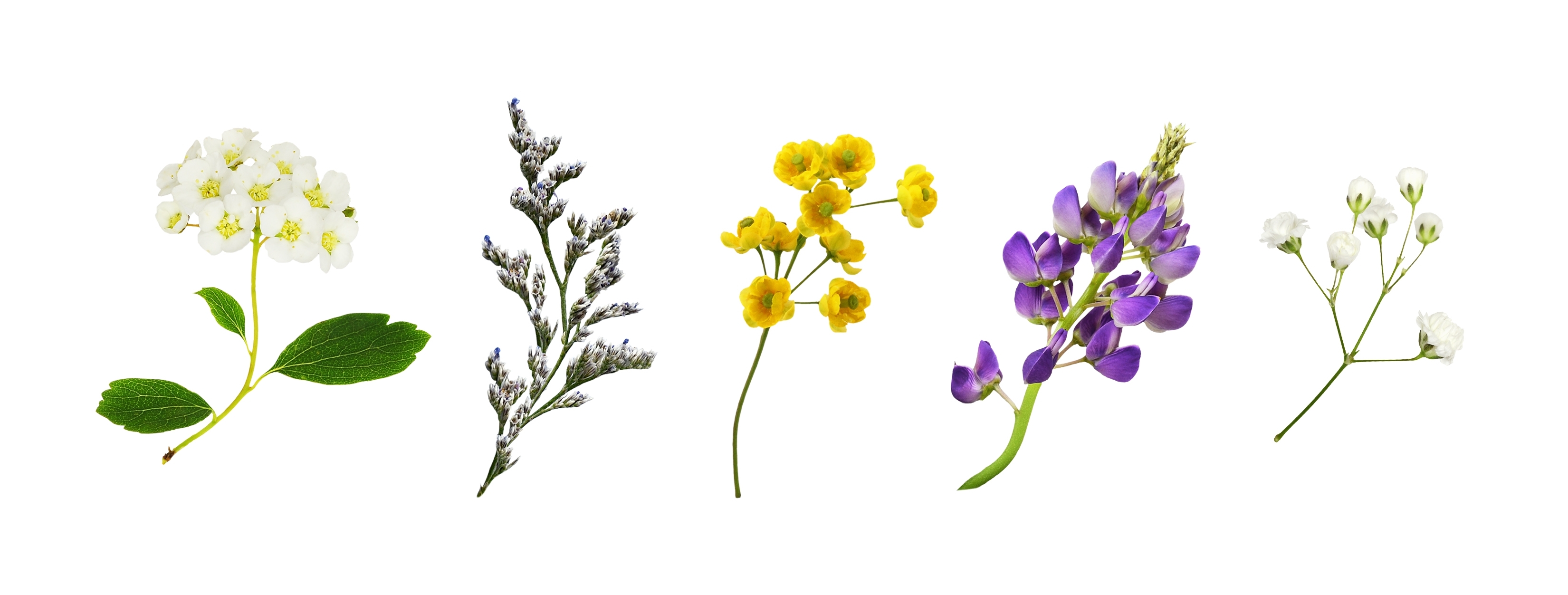 Even though HTT-lowering splice modulators work on the same premise, they’re not all identical. Small differences in their makeup change how they work. So knowing one won’t work for HD doesn’t provide clues about others. While similar, they’re all different.